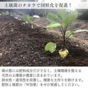 植物由来100% 天然土壌菌入りオーガニック肥料 湖の恵 家庭菜園のお手入れセット