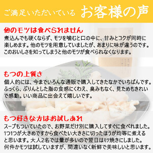 近江牛もつ鍋セット（近江牛もつ500g＋もつ鍋スープ）