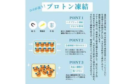 大粒 海老 シューマイ （ 約 50g × 6個 ）×4 パック エビ  中華 職人 こだわり プロトン 冷凍