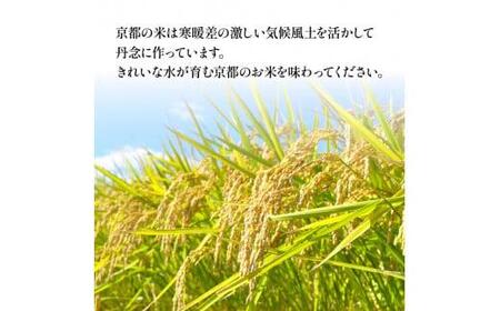 【令和6年産】京都のお米 食べ比べ 3kgセット (1kg×3袋) （丹後コシヒカリ 京式部 丹波キヌヒカリ 米 こめ 食べくらべ 詰め合わせ 白米 3kg 3キロ 7000円 国産 ブランド米 取り寄せ 京都 ） 2024年度