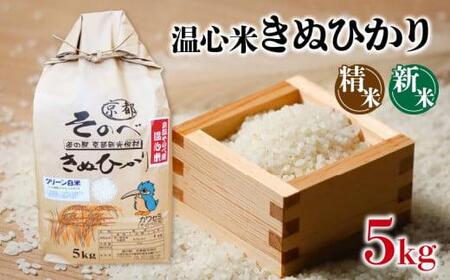 新米 令和5年 産 キヌヒカリ 精米 5kg 温心米 きぬひかり 京都 南丹米