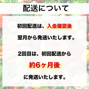 【野菜 定期便 2回】選りすぐり京野菜 6種程度