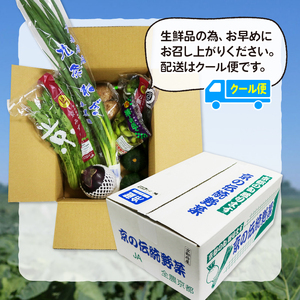 【野菜 定期便 2回】選りすぐり京野菜 6種程度