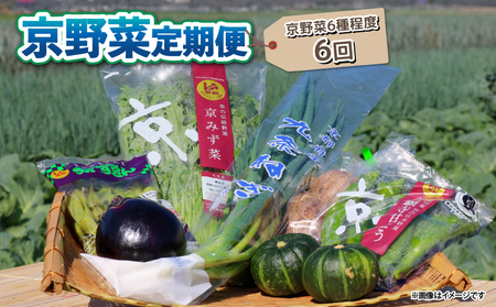 【野菜 定期便6回】選りすぐり 旬の京野菜 詰め合わせセット 