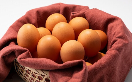 定期便 京都 こだわり卵3種 30個 12ヶ月 ( 卵 たまご ﾀﾏｺﾞ 卵 たまご ﾀﾏｺﾞ 卵 たまご ﾀﾏｺﾞ 卵 たまご ﾀﾏｺﾞ 卵 たまご ﾀﾏｺﾞ 卵 たまご ﾀﾏｺﾞ 卵 たまご ﾀﾏｺﾞ 卵 たまご ﾀﾏｺﾞ 卵 たまご ﾀﾏｺﾞ 卵 たまご ﾀﾏｺﾞ 卵 たまご ﾀﾏｺﾞ 卵 たまご ﾀﾏｺﾞ 卵 たまご ﾀﾏｺﾞ 卵 たまご ﾀﾏｺﾞ 卵 たまご ﾀﾏｺﾞ 卵 たまご ﾀﾏｺﾞ 卵 たまご ﾀﾏｺﾞ 卵 たまご ﾀﾏｺﾞ 卵 たまご ﾀﾏｺﾞ 卵 たまご ﾀﾏｺﾞ 卵 たまご ﾀﾏｺﾞ 卵 たまご ﾀﾏｺﾞ 卵 たまご ﾀﾏｺﾞ 卵 たまご ﾀﾏｺﾞ 卵 たまご ﾀﾏｺﾞ 卵 たまご ﾀﾏｺﾞ 卵 たまご ﾀﾏｺﾞ 卵 たまご ﾀﾏｺﾞ 卵 たまご ﾀﾏｺﾞ 卵 たまご ﾀﾏｺﾞ 卵 たまご ﾀﾏｺﾞ 卵 たまご ﾀﾏｺﾞ 卵 たまご ﾀﾏｺﾞ 卵 たまご ﾀﾏｺﾞ 卵 たまご ﾀﾏｺﾞ 卵 たまご ﾀﾏｺﾞ )