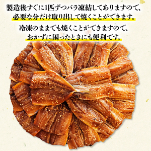 干物 いわし/あじ みりん干し 干物セット 各500g 計1kg 京都の干物 あじの干物 いわしの干物