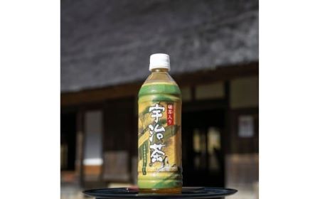 京都 ブレンド宇治茶 お茶ペットボトル 500ml×24本(京都お茶ペットボトル 京都府お茶 京都お茶 備蓄お茶 緑茶お茶 煎茶お茶)