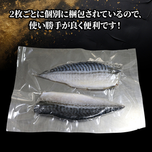 塩サバの干物 片身 計12枚 (1袋2枚入) 小分け 個包装 フィーレ 塩鯖 干物 ひもの 魚介 冷凍 おかず 弁当 焼き魚 海鮮 伊根町 伊根 ノルウェー サバ 鯖 さば 魚 フィレ 鯖切身 鯖切り身 さば切身 さば切り身 切り身 切身 魚介 おつまみ しお 冷凍食品 長期保存 小分け お取り寄せ フライパン グリル 蒲入水産 京都 京都府