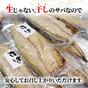 塩サバの干物 片身 計12枚 (1袋2枚入) 小分け 個包装 フィーレ 塩鯖 干物 ひもの 魚介 冷凍 おかず 弁当 焼き魚 海鮮 伊根町 伊根 ノルウェー サバ 鯖 さば 魚 フィレ 鯖切身 鯖切り身 さば切身 さば切り身 切り身 切身 魚介 おつまみ しお 冷凍食品 長期保存 小分け お取り寄せ フライパン グリル 蒲入水産 京都 京都府