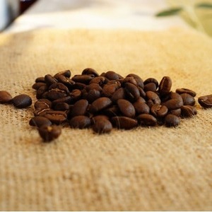 【京都 コーヒー豆】Single Origin 暁 -AKATSUKI-(スペシャルティコーヒー豆 コーヒー豆 焙煎コーヒー豆)