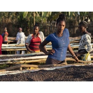 【京都 コーヒー豆】Single Origin 清風 -SEIFU-(スペシャルティコーヒー豆 コーヒー豆 焙煎コーヒー豆)