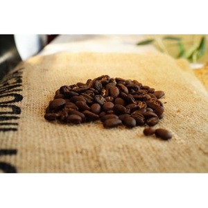 【京都 コーヒー豆】Single Origin 清風 -SEIFU-(スペシャルティコーヒー豆 コーヒー豆 焙煎コーヒー豆)