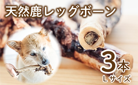 【大切な愛犬に】天然鹿レッグボーン3本 (犬 おやつ ペット用品