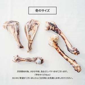 【大切な愛犬に】天然鹿レッグボーン3本 (犬 おやつ ペット用品