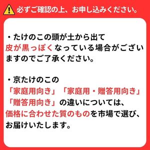 【春限定】京たけのこ約2kg 2～6本(家庭用) (春 たけのこ 京野菜 たけのこ 春 たけのこ 筍 たけのこ）