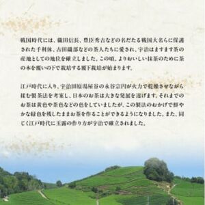 宇治茶 ペットボトル 500ml×24本 京都 ペットボトル お茶