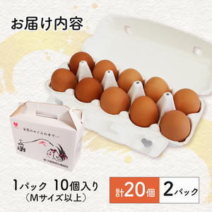 茶乃月 たまご 20個入 たまご 京都