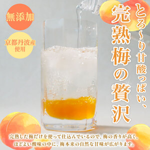 【柚子梅ピューレ】YUZUUME 2本セット シロップ