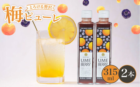 【梅ベリーピューレ】UMEBERRY 2本セット 梅 ジャム 