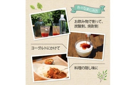 【梅ベリーピューレ】UMEBERRY 2本セット 梅 ジャム 