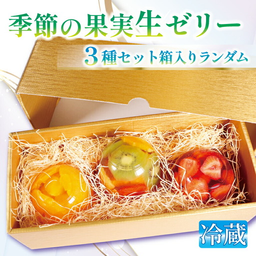 【まるで宝石なゼリー】フルーツたっぷり果実生ゼリー3種（ゼリー フルーツゼリー ゼリー果物 ）