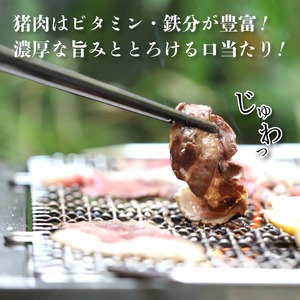 猪肉スライス300g ジビエ 猪肉ジビエ 京都ジビエ 美味しいジビエ ジビエ堪能 ヘルシーなジビエ アウトドアにおすすめのジビエ