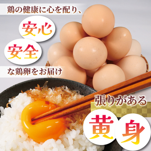 【卵 定期便12か月】奥京都の撫子たまご 40個入 (卵定期便12ヶ月 卵定期便 京卵定期便 たまご定期便)