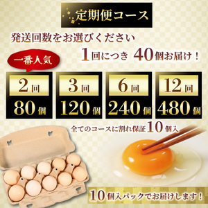 【卵 定期便12か月】奥京都の撫子たまご 40個入 (卵定期便12ヶ月 卵定期便 京卵定期便 たまご定期便)