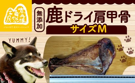 【 ペット用品 】鹿ドライ肩甲骨 Mサイズ