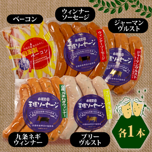 京丹波高原豚 使用 ソーセージ5種セット （ウィンナーソーセージ ジャーマンヴルストソーセージ ブリーヴルストソーセージ 九条ねぎウィンナーソーセージ べーコン ソーセージ 丹後王国ソーセージ）