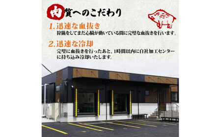 【ぼたん鍋セット】天然猪肉300g 特製みそ付き 2～3人前 ぼたん鍋 京都