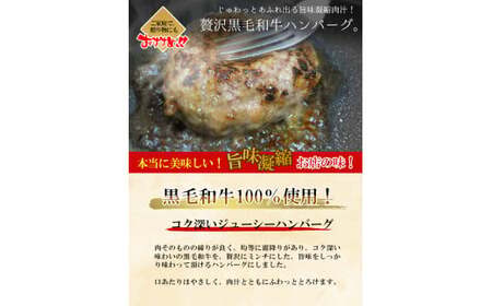 黒毛和牛100％ ハンバーグ 10個  計1.5kg【 ハンバーグ 和牛 】