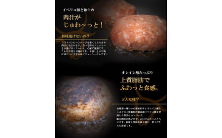黒毛和牛とイベリコ豚のハンバーグ 150g×10個 【 和牛 ハンバーグ 】