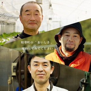 【和のフルーツ大福】 パフェ大福 6個 大福