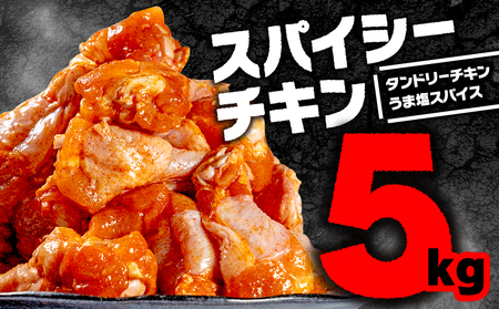お肉専門店からお届け】 スパイシーチキン 2種セット 5kg(4袋×2