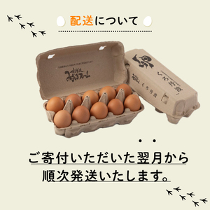 【卵 定期便12か月】 くろ丹波 卵20個