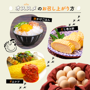 【卵 定期便12か月】 赤たまご 卵30個