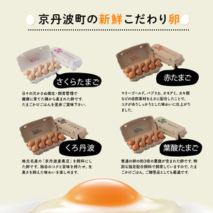 【卵 定期便12回】京丹波こだわり「赤たまご」卵20個