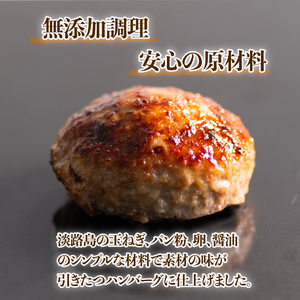 【京都ブランド豚ハンバーグ】京丹波高原豚ハンバーグ150g×12個 【 ハンバーグ 】