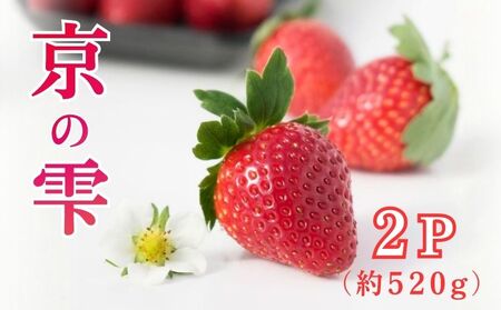 【2025年12月～翌5月発送】 いちご 京の雫 2パック 約520g 京都のいちご 甘いいちご ブランドいちご 完熟いちご