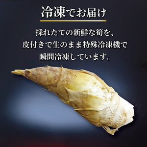 冷凍 白子京筍 石清水 1本 3kg たけのこ 国産たけのこ 幻の白子たけのこ たけのこ丸ごと一本 京都辻農園のたけのこ
