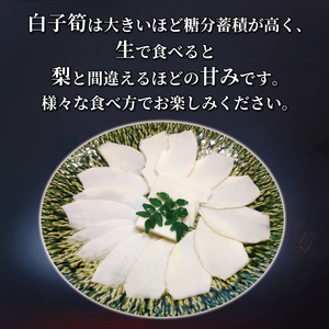 冷凍 白子京筍 石清水 1本 5kg たけのこ 国産たけのこ 幻の白子たけのこ たけのこ丸ごと一本 京都辻農園のたけのこ