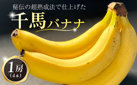 熟成 千馬バナナ 1房 (4~5本) 超熟成法仕立て 果物 バナナ ばなな 朝ご飯 朝食 おやつ 果実 フルーツ デザート スイーツ 甘味 美味しい 千馬Miyabi 城陽市 京都府