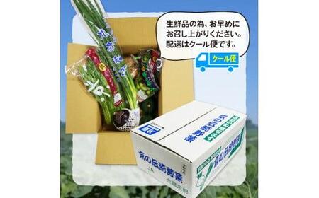 【野菜 定期便 12回】選りすぐり 旬の京野菜 詰め合わせセット