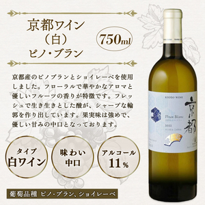 【丹波ワイン】赤白ワイン飲み比べ 2本セット