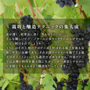 【丹波ワイン】 京都丹波産 ピノ・ノワール ヴィエイユ・ヴィーニュ 750ml 