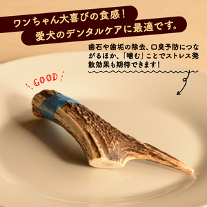 シカツノ Sサイズ 鹿の角 (犬 歯磨き ペット用品 おもちゃ
