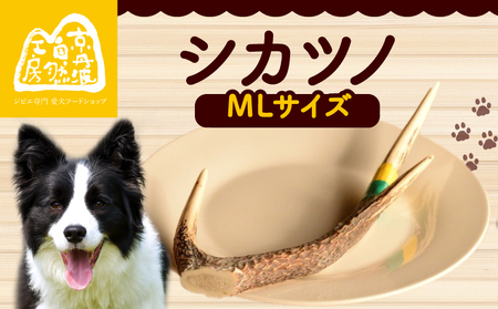 シカツノ MLサイズ 鹿の角(犬 歯磨き ペット用品 おもちゃ