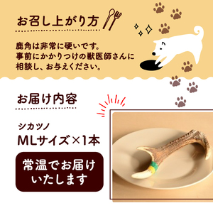 シカツノ MLサイズ 鹿の角(犬 歯磨き ペット用品 おもちゃ