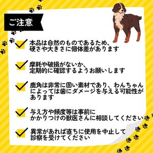 シカツノ Lサイズ 鹿の角(犬 歯磨き ペット用品 おもちゃ